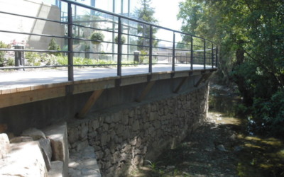 1195 – Puente de 10,00 m y Camino Jardín Botánico de Gijón