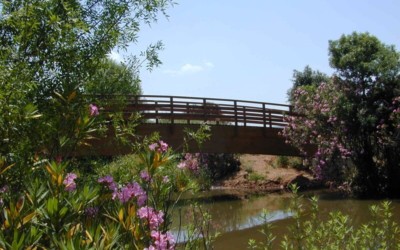 2057 – Puentes en Don Benito