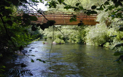 2236 – Puente de 25,00 x 1,30 m en el Río Mandeo