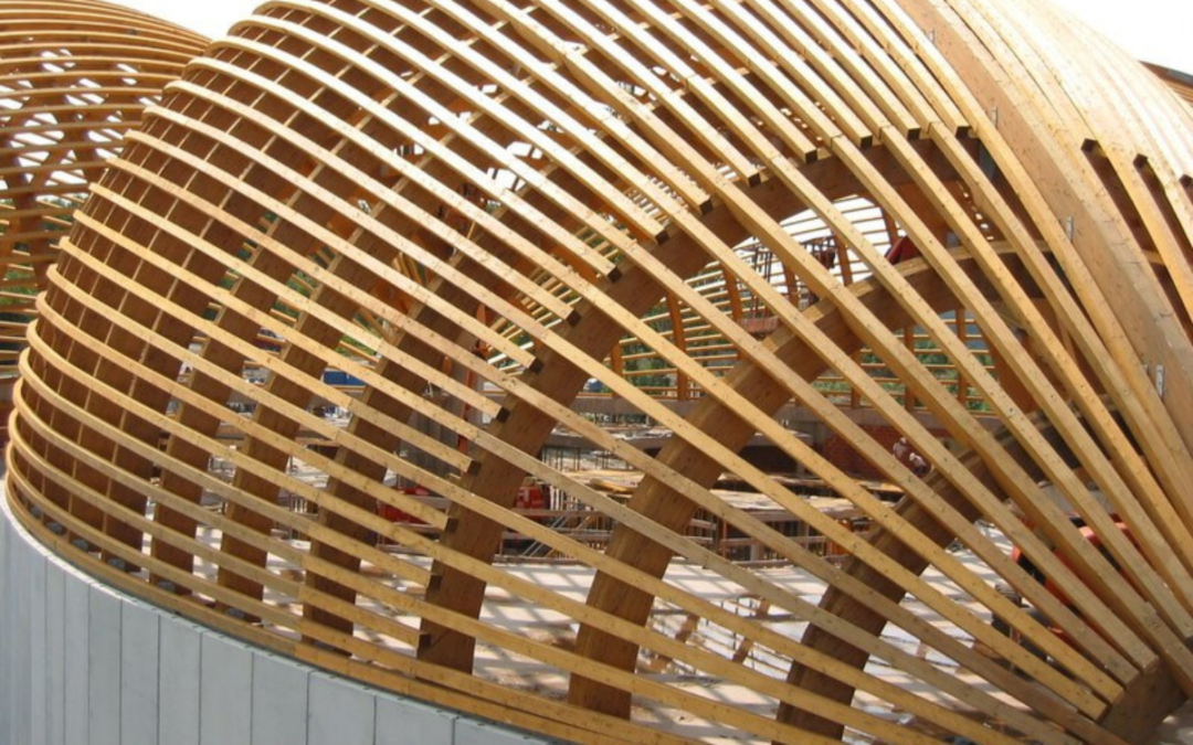 La madera en estructuras: claves básicas para el diseño y la ingeniería